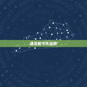 遇见蛇今天运势，我今天看到一起条蛇今天的财运好吗