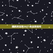 属虎的运势2021年运势如何，属虎的人2021年的运势及运程