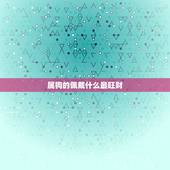 属狗的佩戴什么最旺财，属狗人最招财是什么东西