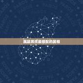 属鼠男孩最婚配的属相，属鼠男性适合的婚配属相