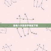 易奇八字算命苹果版下载，易奇八字运程车