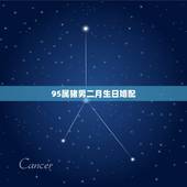 95属猪男二月生日婚配，属猪的几月出生最好？属猪的属相婚配表