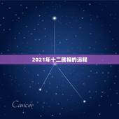 2021年十二属相的运程，81年属鸡2021年运势