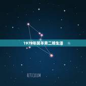 1979年属羊男二婚生活，1979属羊有二婚