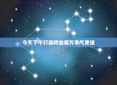 今天下午打麻将坐哪方手气更佳，麻将每日一占卜牌运2022 年猪