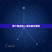 两个属虎的人适合做夫妻吗 男虎女虎能白头到老吗