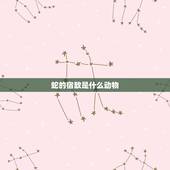 蛇的宿敌是什么动物，蛇是哺乳动物吗