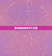 属羊和属虎的合不合婚，虎女和羊女合不合