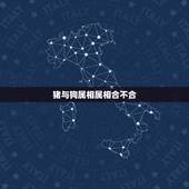 猪与狗属相属相合不合，属猪和属狗的能相配吗？