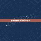 属猪男和属猪男和不合财，属猪和属猪合财吗