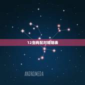 12生肖配对婚姻表，12生肖配对及年龄