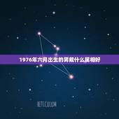 1976年六月出生的男戴什么属相好，1976年属龙的适合佩戴什么
