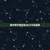 属牛狮子座女生2023今日运势(财运亨通感情甜蜜)