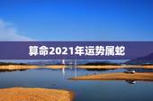 算命2021年运势属蛇，谁能算一算2021年属蛇人的运势？