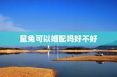 鼠兔可以婚配吗好不好，男女属兔好不好