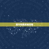 属牛和属虎谁压谁，属牛的和属虎的在一起合适吗？