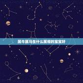 属牛属马生什么属相的宝宝好，属牛和属马的人生什么属相的孩子好