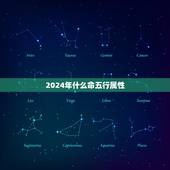 2024年什么命五行属性，1994年是什么命五行