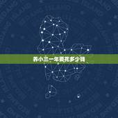 养小三一年要花多少钱，男人养一个普通标准的情人每年要投入多少成本？