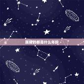 属猪的都是什么年龄，属猪的年份表及年龄