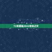 72年属鼠2022牢狱之灾 生肖鼠命中注定的情劫