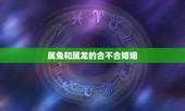 属兔和属龙的合不合婚姻，老公属兔老婆属龙