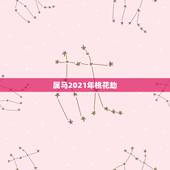 属马2021年桃花劫，2021年属马的全年运势？