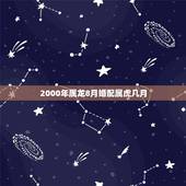 2000年属龙8月婚配属虎几月，属虎可以与属龙的相配吗