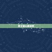 男士竖心眉运势