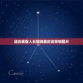 适合属猴人长期佩戴的吉祥物图片，属猴人一世四大贵人