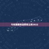 今年属猴的运势怎么样2022 ，1980年属猴女未来10年运势