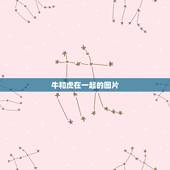牛和虎在一起的图片，男牛女虎婚姻最终结局