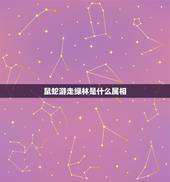 鼠蛇游走绿林是什么属相，绿林豪杰猜一生肖。
