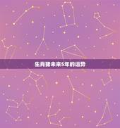 生肖猪未来5年的运势，属猪人未来10年大运