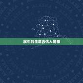 属牛的生意合伙人属相，生意属相搭档相克怎么办