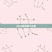 2024龙年是什么命，1988龙年是什么命