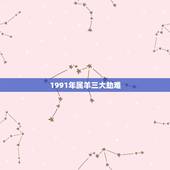 1991年属羊三大劫难，1988年属龙三大劫难