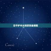 日干炉中火和钗钏金婚配，钗钏金男能和炉中火女在一起吗？
