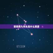 苦命月九羊头是什么意思，一月羊守空房二月羊三月羊