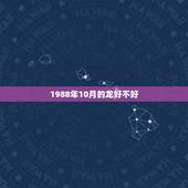 1988年10月的龙好不好，1988阿里巴巴批发