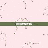 属相婚配男龙女鼠，属相婚配：男属龙和女属鼠相配吗？