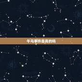 午马事件是真的吗，午马是怎么走的