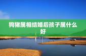 狗猪属相结婚后孩子属什么好，2010属相猪和狗的结婚吉日（万分感谢）