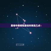 属相牛的婚配最佳时间是几点，【请问属牛（男）最好配什么属相的女人？