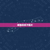 貔貅的样子图片，貔貅是什么样子的