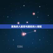 属兔的人能否与属蛇的人婚配，属相中，属蛇和属兔的人般配吗？