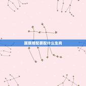属猴婚配要配什么生肖，婚配，男属猴应该配哪个生肖
