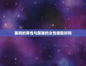属狗的男性与属猪的女性婚配好吗，男属狗和女属猪的配吗