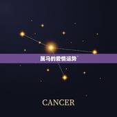 属马的爱情运势，羊年内属马的男士爱情运势