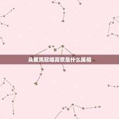 头戴凤冠唱高歌是什么属相，凤冠唱高歌什么生肖